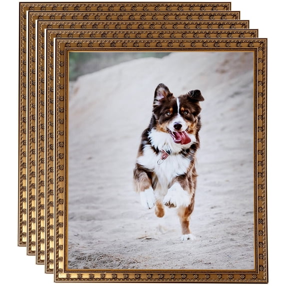 ArtToFrames 14" x 18" Gold with Star Picture Frame, 14x18 inch Gold Wood Poster Frame (WOM-4755), 5 Pack