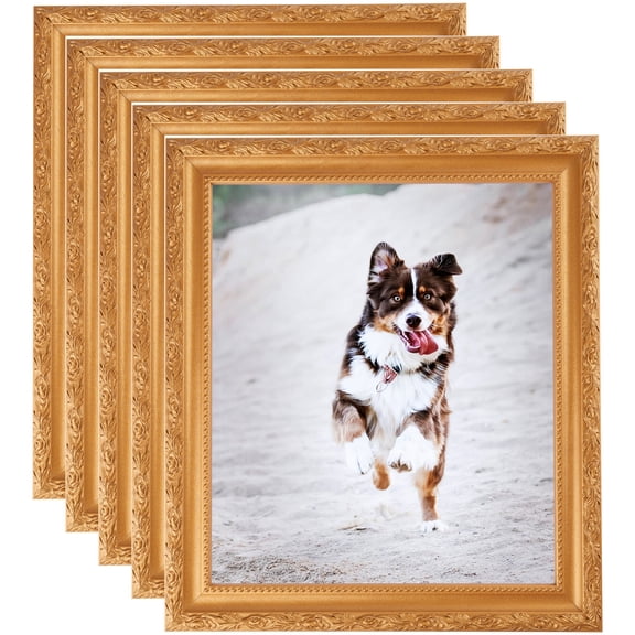 ArtToFrames 14" x 19" Bright Gold Picture Frame, 14x19 inch Gold Wood Poster Frame (WOM-4928), 5 Pack