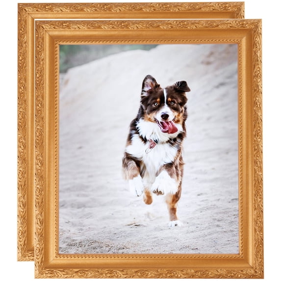 ArtToFrames 15" x 20" Bright Gold Picture Frame, 15x20 inch Gold Wood Poster Frame (WOM-4928), 2 Pack
