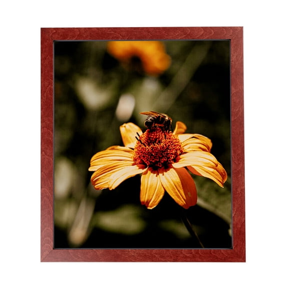 ArtToFrames 15x15" Maple Wood Picture Frame, Red Wood Poster Frame, with Regular Glass and 2 (FBPL-4962)