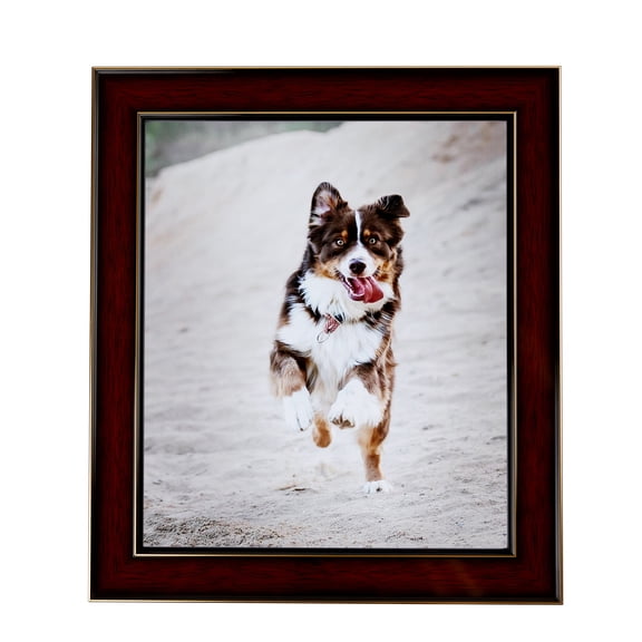 ArtToFrames 15x18" Honors Mahogany with Gold Picture Frame, Brown Wood Poster Frame, with Regular Glass (FBPL-5156)