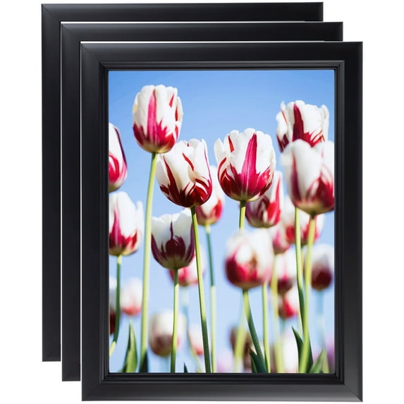 ArtToFrames 16" x 16" Satin Black Double Step Lip Picture Frame, 16x16 inch Black Wood Poster Frame (WOM-1418), 3 Pack