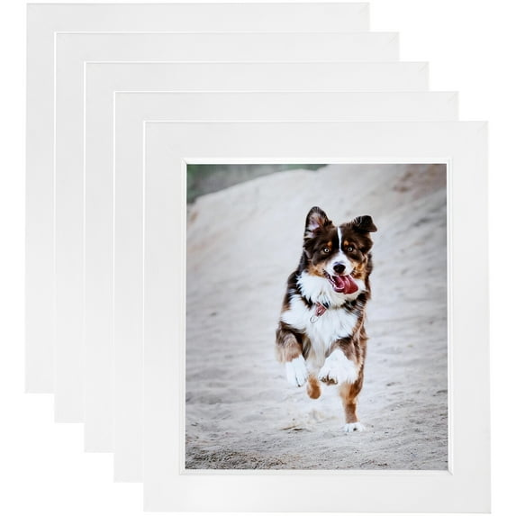 ArtToFrames 16" x 20" Contemporary White with Lip Picture Frame, 16x20 inch White Wood Poster Frame (WOM-2032), 5 Pack
