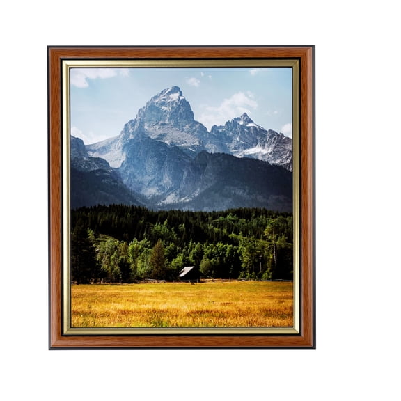 ArtToFrames 16" x 20" Honey with Gold Picture Frame, 16x20 inch Brown MDF Poster Frame (WOM-4446), 1 Pack