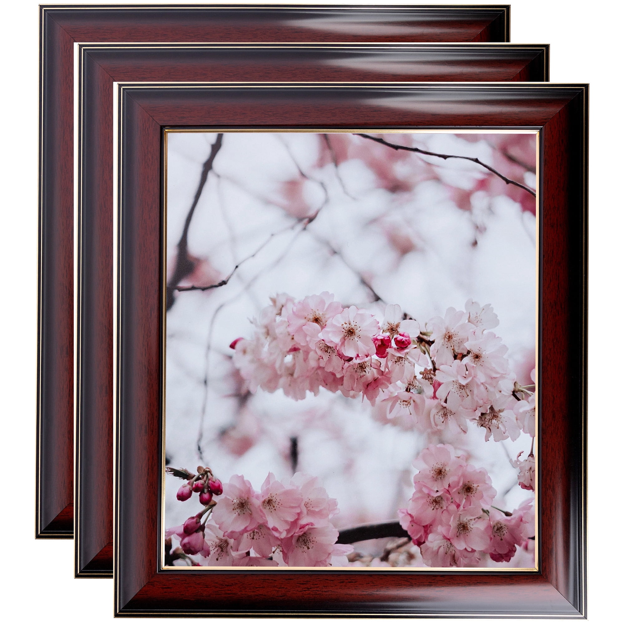 ArtToFrames 16" x 20" Matte Mahogany with Gold Accent Diploma Picture Frame, 16x20 inch Brown Wood Poster Frame (WOM-5109), 3 Pack