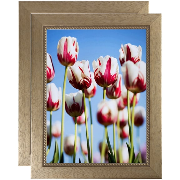 ArtToFrames 16" x 20" Metallic Gold with Ornate Detail Picture Frame, 16x20 inch Gold Wood Poster Frame (WOM-4576), 2 Pack