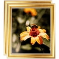 thumbnail image 1 of ArtToFrames 16" x 20" Regency Gold Picture Frame, 16x20 inch Multi Wood Poster Frame (WOM-5022), 2 Pack, 1 of 6