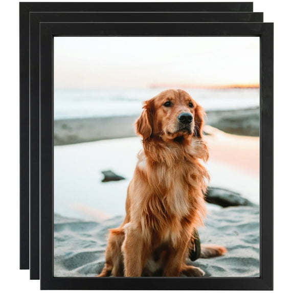 ArtToFrames 16" x 20" Satin Black Short Picture Frame, 16x20 inch Black Wood Poster Frame (WOM-1416), 3 Pack