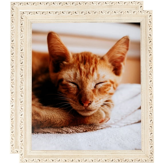 ArtToFrames 16" x 20" White Wash Picture Frame, 16x20 inch White Wood Poster Frame (WOM-4906), 2 Pack