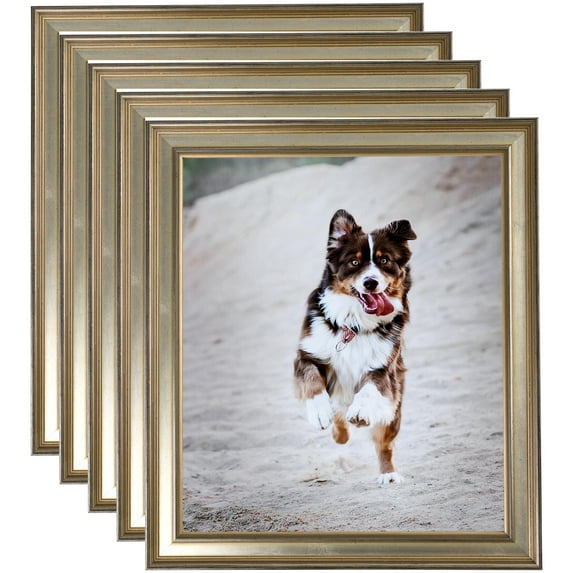 ArtToFrames 16" x 24" Antique Silver Panel Picture Frame, 16x24 inch Silver Wood Poster Frame (WOM-4760), 5 Pack
