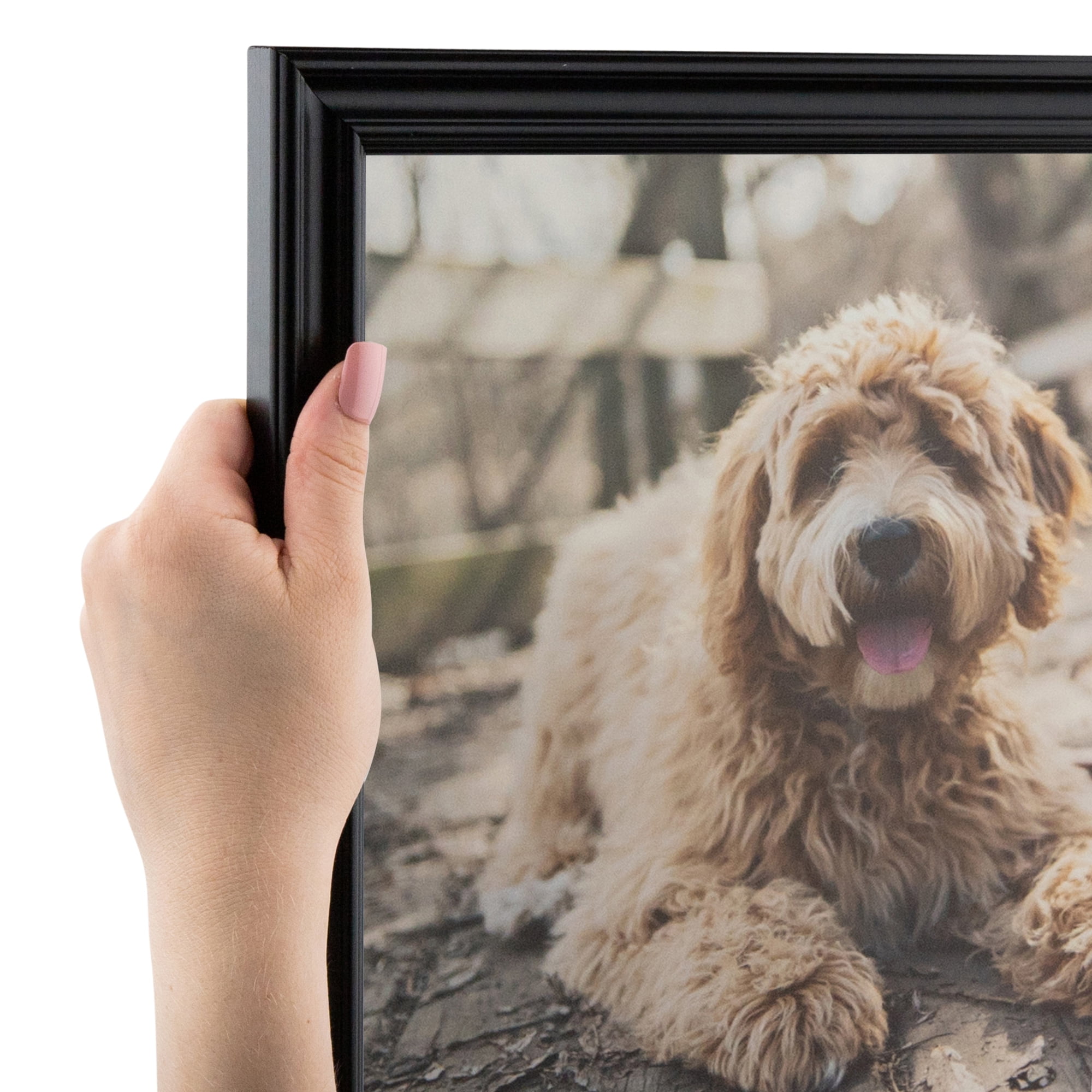 ArtToFrames 16x24 inch Windsor Walnut Picture Frame, This Brown MDF Poster Frame Is Great for Your Art or Photos, Comes with Styrene (4686), Size: 16