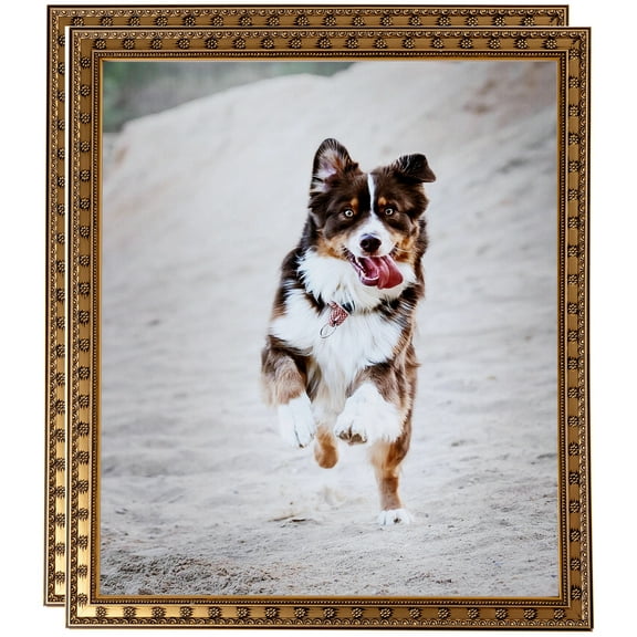 ArtToFrames 16" x 24" Gold with Star Picture Frame, 16x24 inch Gold Wood Poster Frame (WOM-4755), 2 Pack