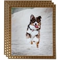 thumbnail image 1 of ArtToFrames 16" x 24" Gold with Star Picture Frame, 16x24 inch Gold Wood Poster Frame (WOM-4755), 3 Pack, 1 of 6