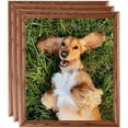 thumbnail image 1 of ArtToFrames 16" x 24" Honey Oak Picture Frame, 16x24 inch Brown Wood Poster Frame (WOM-4380), 3 Pack, 1 of 7