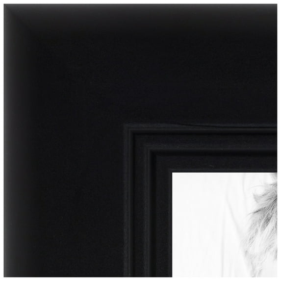ArtToFrames 17" x 29" Satin Black Double Step Lip Picture Frame, 17x29 inch Black Wood Poster Frame (WOM-1418)