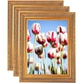 thumbnail image 1 of ArtToFrames 17" x 35" Wide Gold with Green Tones Picture Frame, 17x35 inch Gold Wood Poster Frame (WOM-5078), 3 Pack, 1 of 6