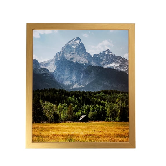 ArtToFrames 17x34" Other Picture Frame, Multi Wood Poster Frame, with Regular Acrylic and 2 (FBPL-5102)