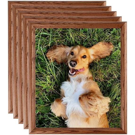 ArtToFrames 18" x 22" Honey Oak Picture Frame, 18x22 inch Brown Wood Poster Frame (WOM-4380), 5 Pack