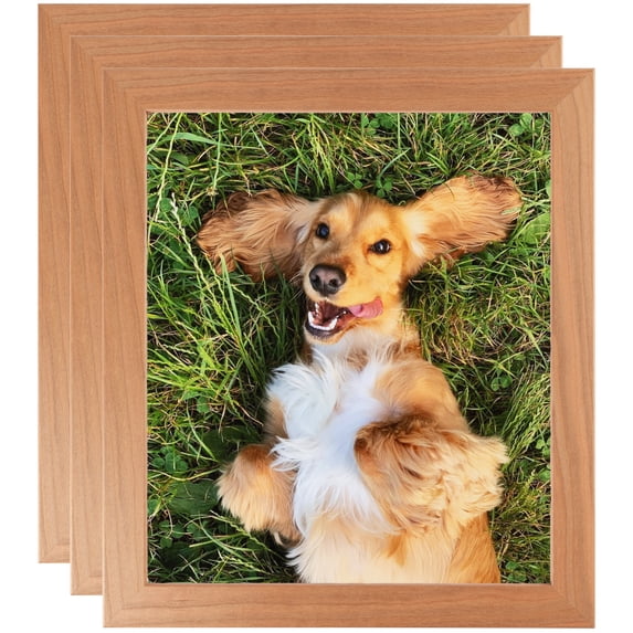 ArtToFrames 18" x 22" Natural Cherry Picture Frame, 18x22 inch Red Wood Poster Frame (WOM-4848), 3 Pack