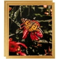 thumbnail image 1 of ArtToFrames 18" x 24" Bright Gold Picture Frame, 18x24 inch Gold Wood Poster Frame (WOM-4753), 2 Pack, 1 of 7
