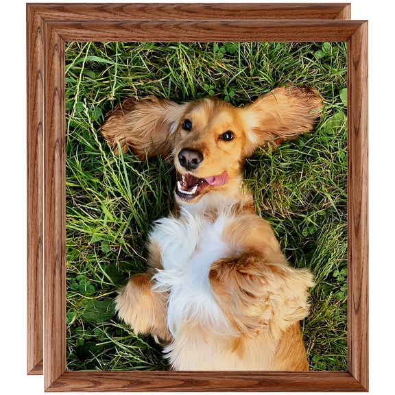 ArtToFrames 18" x 24" Honey Oak Picture Frame, 18x24 inch Brown Wood Poster Frame (WOM-4380), 2 Pack