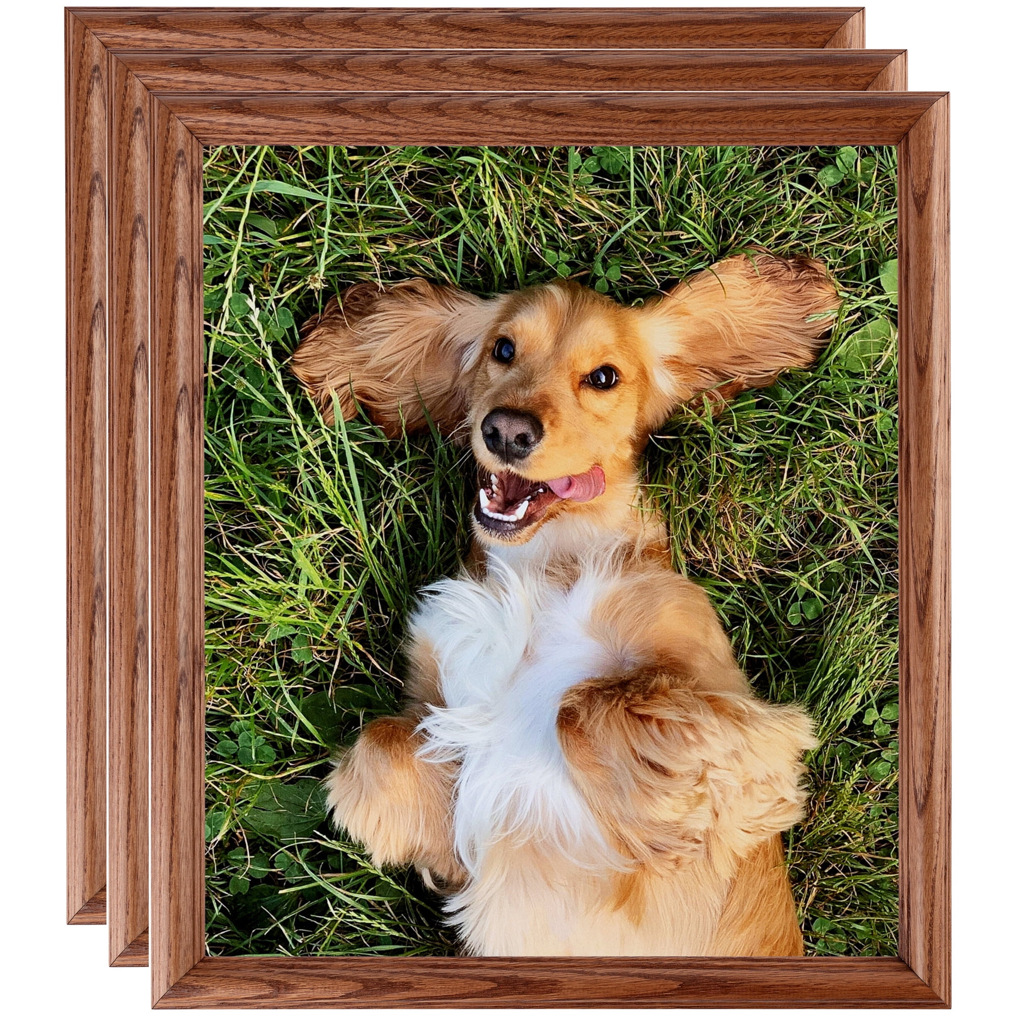 ArtToFrames 18" x 24" Honey Oak Picture Frame, 18x24 inch Brown Wood Poster Frame (WOM-4380), 3 Pack