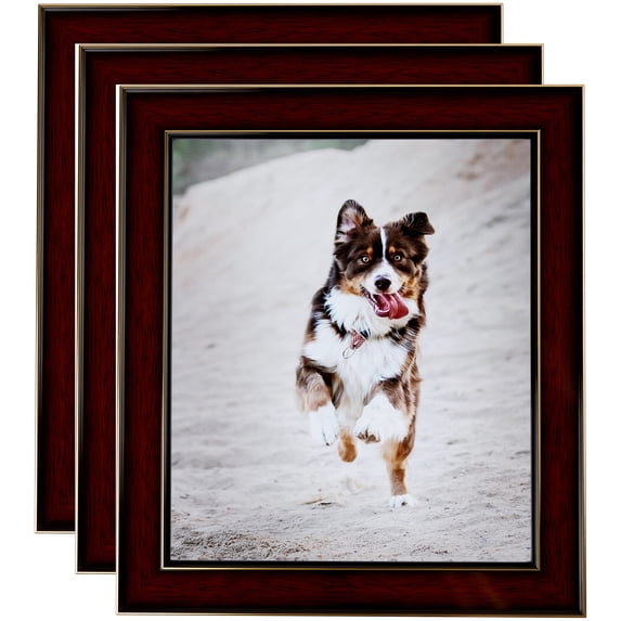 ArtToFrames 18" x 24" Honors Mahogany with Gold Picture Frame, 18x24 inch Brown Wood Poster Frame (WOM-5156), 3 Pack
