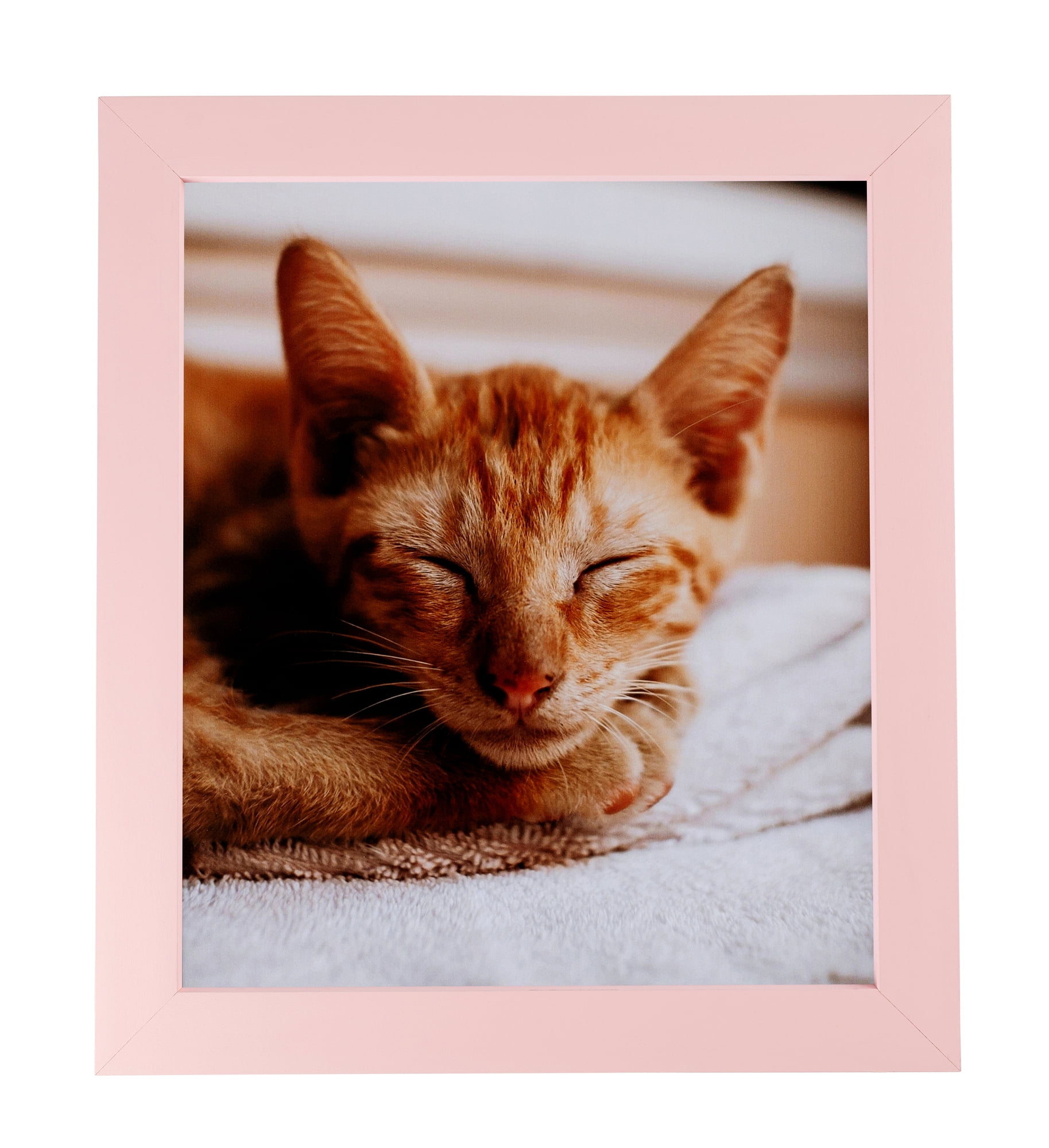 ArtToFrames 18" x 24" Pink Picture Frame, 18x24 inch Pink Wood Poster Frame (WOM-4120), 1 Pack