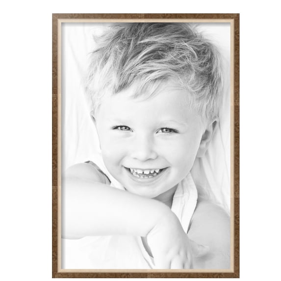 ArtToFrames 18" x 26" Taupe with Silver Lip Picture Frame, 18x26 inch Multi Wood Poster Frame (WOM-4986), Pack
