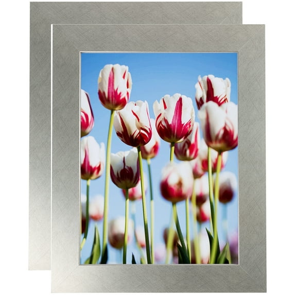 ArtToFrames 18" x 36" Metallic Deco Silver Picture Frame, 18x36 inch Silver MDF Poster Frame (WOM-4501), 2 Pack