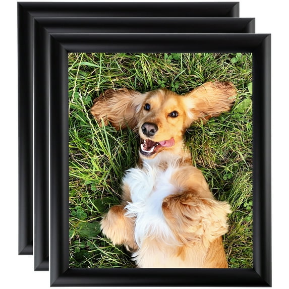 ArtToFrames 18" x 36" Satin Black Bull Nose Picture Frame, 18x36 inch Black Wood Poster Frame (WOM-1417), 3 Pack