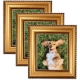 thumbnail image 1 of ArtToFrames 19" x 23" Antique Gold and Black with rope Picture Frame, 19x23 inch Multi Wood Poster Frame (WOM-5167), 3 Pack, 1 of 6