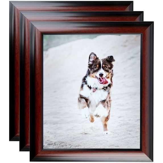 ArtToFrames 19" x 25" Matte mahogany Diploma Picture Frame, 19x25 inch Brown Wood Poster Frame (WOM-5108), 3 Pack