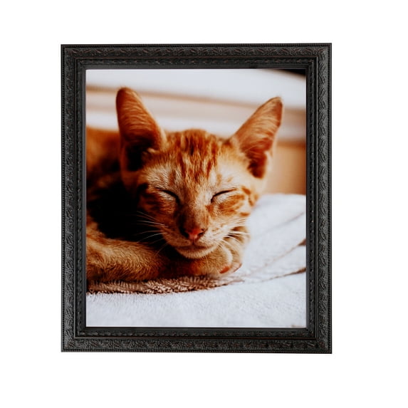 ArtToFrames 19x30" Plum Victorian Emboss Picture Frame, Brown Wood Poster Frame, with Regular Acrylic and 2 (FBPL-5080)