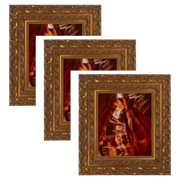 ArtToFrames 20" x 22" traditional gold Picture Frame, 20x22 inch Multi Wood Poster Frame (WOM-5164), 3 Pack