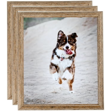 ArtToFrames 20" x 24" Brown Picture Frame, 20x24 inch Brown Wood Poster Frame (WOM-4717), 3 Pack