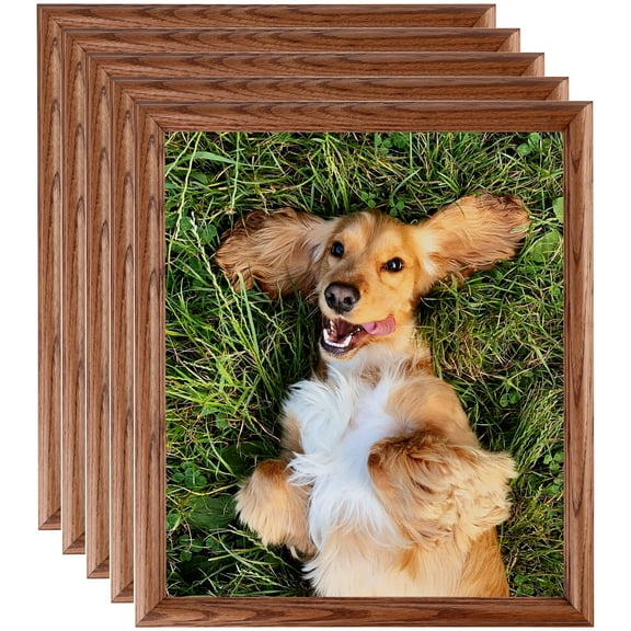 ArtToFrames 20" x 24" Honey Oak Picture Frame, 20x24 inch Brown Wood Poster Frame (WOM-4380), 5 Pack