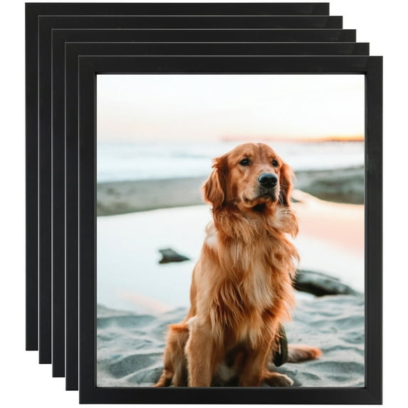 ArtToFrames 20" x 24" Satin Black Short Picture Frame, 20x24 inch Black Wood Poster Frame (WOM-1416), 5 Pack