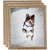 ArtToFrames 20" x 28" Brown Picture Frame, 20x28 inch Brown Wood Poster Frame (WOM-4717), 3 Pack