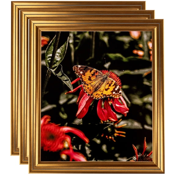 ArtToFrames 20" x 28" Gold Step Picture Frame, 20x28 inch Gold Wood Poster Frame (WOM-4548), 3 Pack