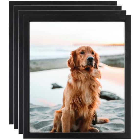 ArtToFrames 20" x 28" Satin Black Short Picture Frame, 20x28 inch Black Wood Poster Frame (WOM-1416), 4 Pack