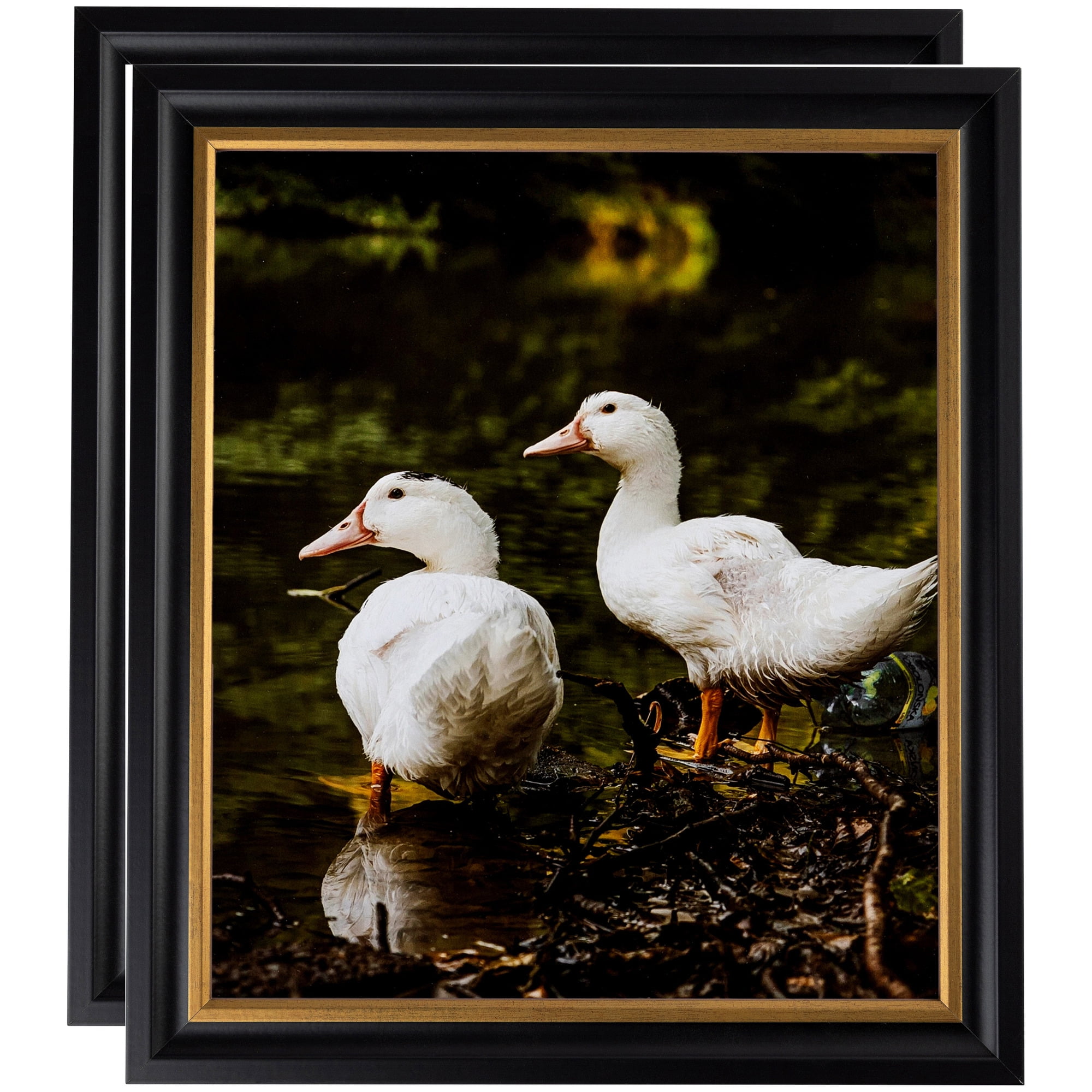 ArtToFrames 20" x 30" Black Velvet with Gold - 1.25 Picture Frame, 20x30 inch Black MDF Poster Frame (WOM-4690), 2 Pack