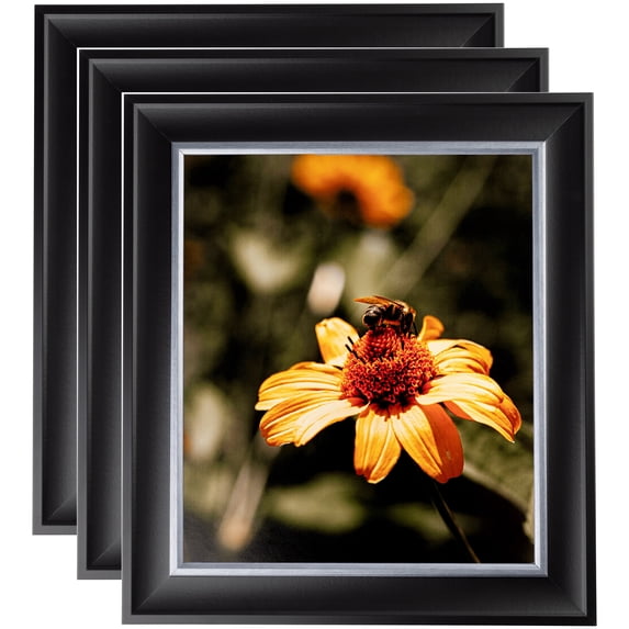 ArtToFrames 20" x 30" Black Velvet with Silver - 2 Picture Frame, 20x30 inch Black MDF Poster Frame (WOM-4693), 3 Pack