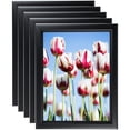 thumbnail image 1 of ArtToFrames 20" x 30" Satin Black Double Step Lip Picture Frame, 20x30 inch Black Wood Poster Frame (WOM-1418), 5 Pack, 1 of 6