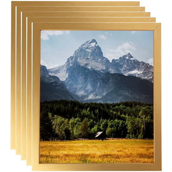 ArtToFrames 20" x 30" Warm Square Gold Picture Frame, 20x30 inch Multi Wood Poster Frame (WOM-5102), 5 Pack