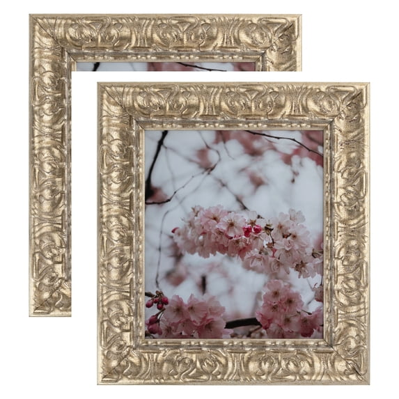 ArtToFrames 20" x 32" Antique Floral Silver Picture Frame, 20x32 inch Multi Wood Poster Frame (WOM-5168), 2 Pack