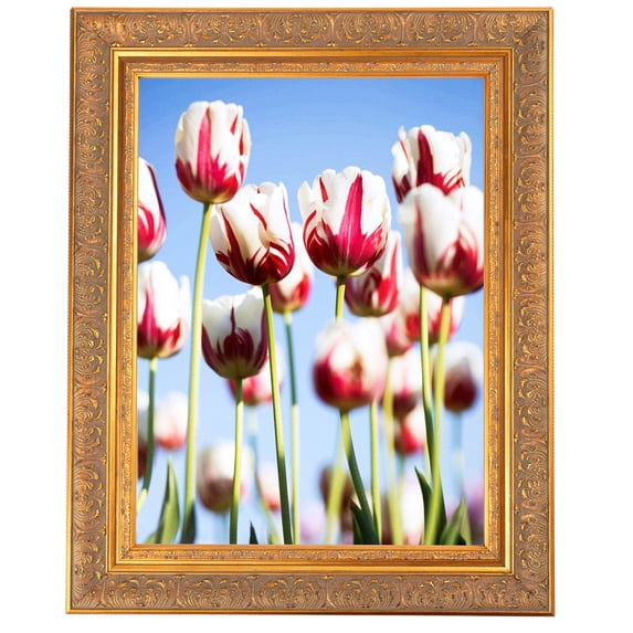 ArtToFrames 20x31" Wide Gold with Green Tones Picture Frame, Gold Wood Poster Frame, with Regular Acrylic and 2 (FBPL-5078)