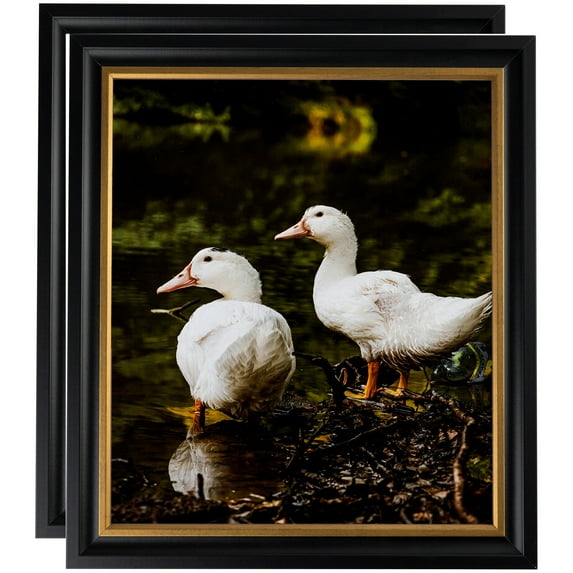 ArtToFrames 22" x 28" Black Velvet with Gold - 1.25 Picture Frame, 22x28 inch Black MDF Poster Frame (WOM-4690), 2 Pack