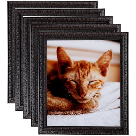 ArtToFrames 22" x 30" Plum Victorian Emboss Picture Frame, 22x30 inch Brown Wood Poster Frame (WOM-5080), 5 Pack