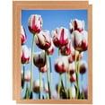 thumbnail image 1 of ArtToFrames 24" x 24" Red Oak Wood Picture Frame, 24x24 inch Brown Wood Poster Frame (WOM-4878), 2 Pack, 1 of 6